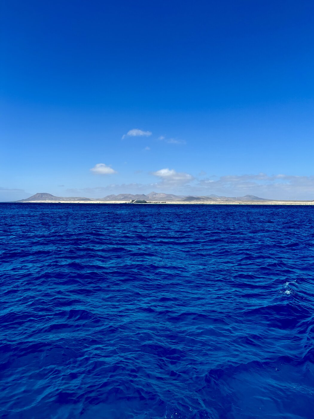 IMG_3615.jpeg