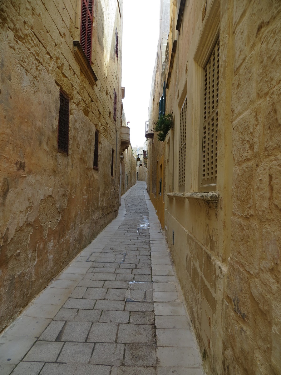 IMG_3885.JPG