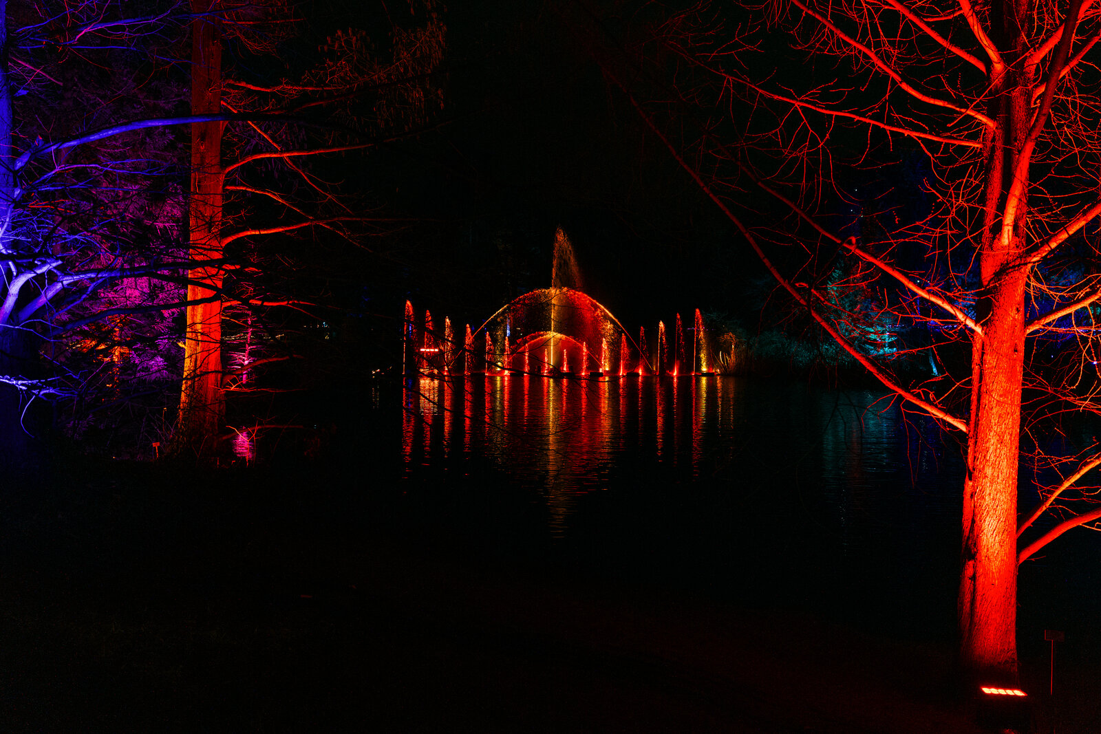 IMG_4113.jpeg