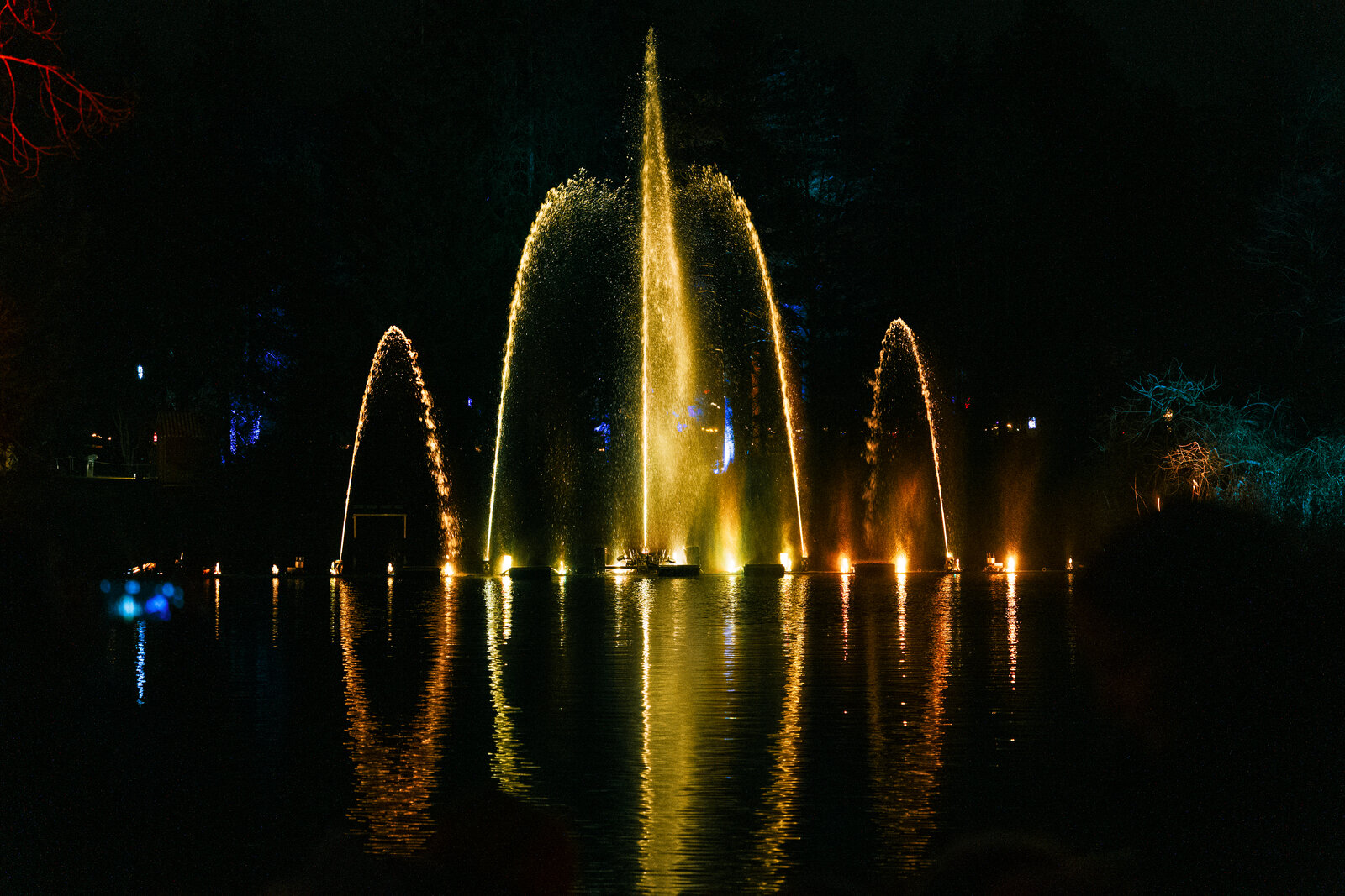 IMG_4114.jpeg