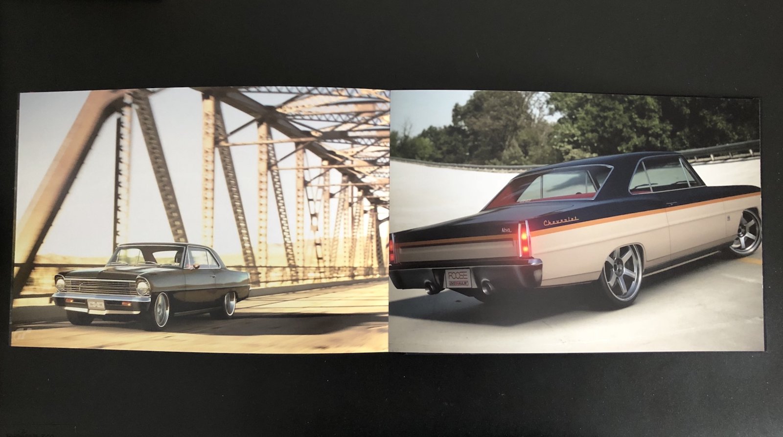 IMG_5229.jpg