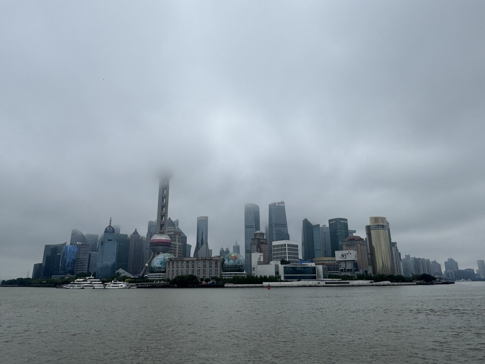 IMG_6005.jpeg