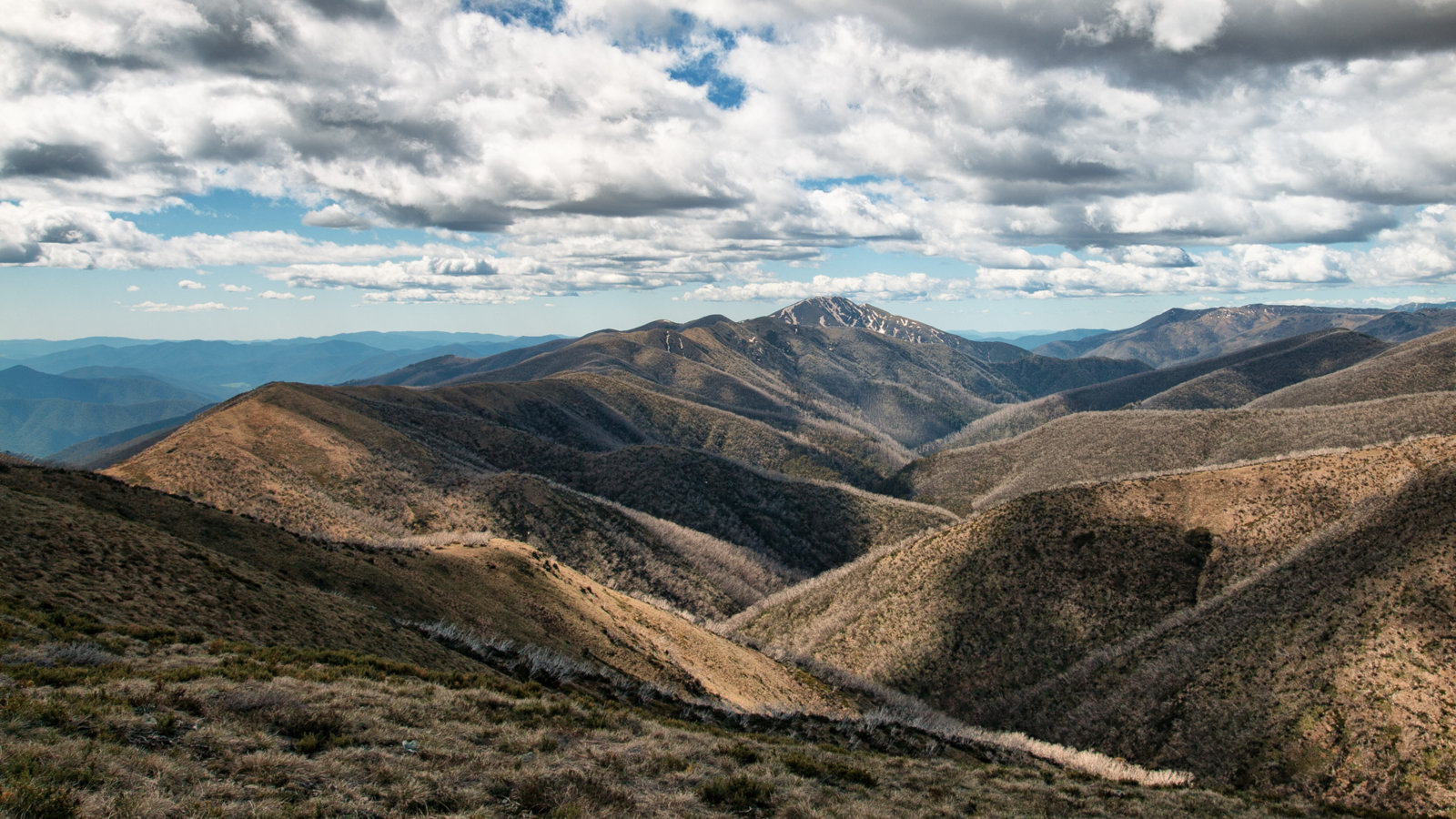 IMG_6062_5815-Edit.jpg