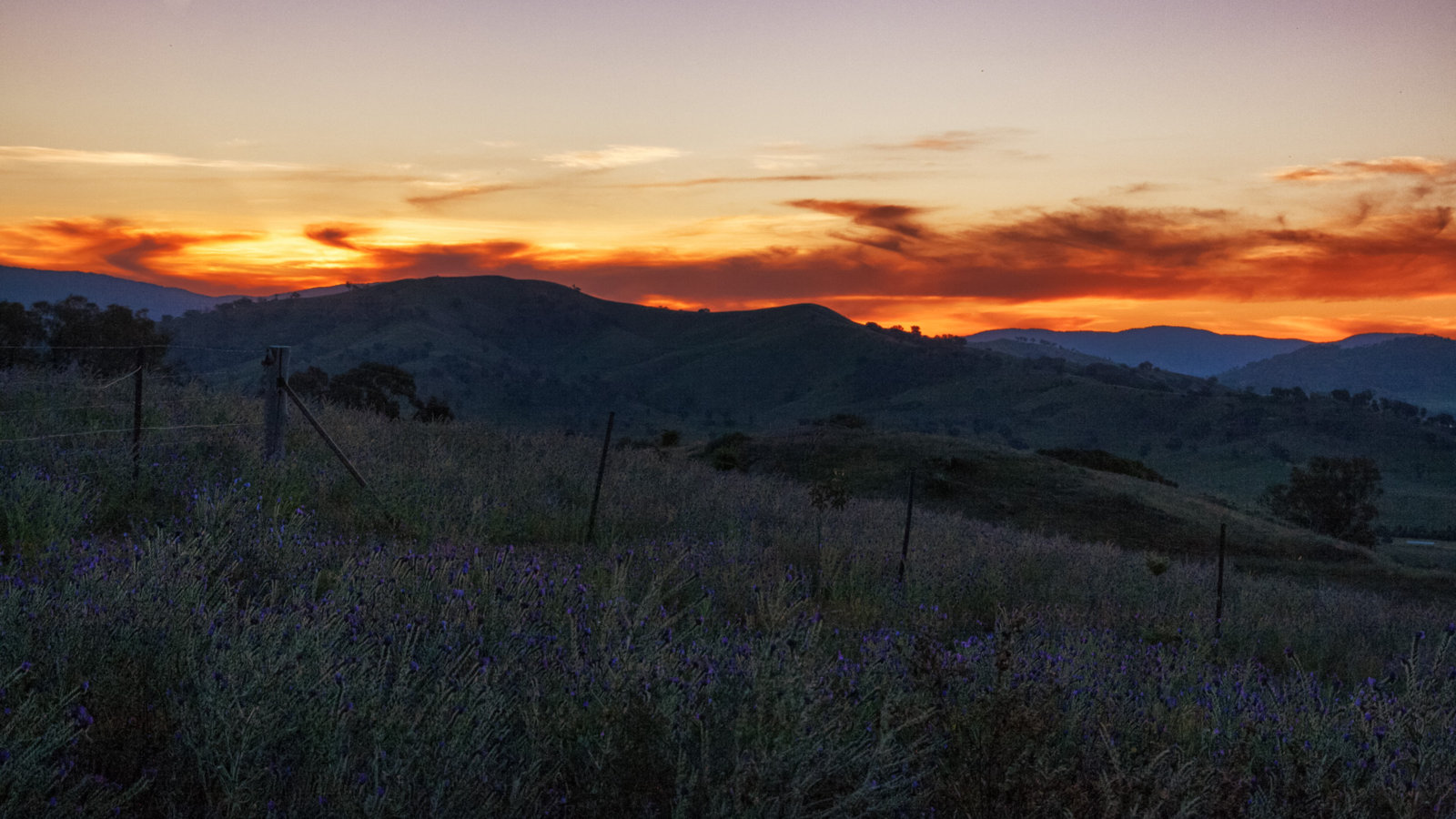 IMG_6084_5836-Edit.jpg