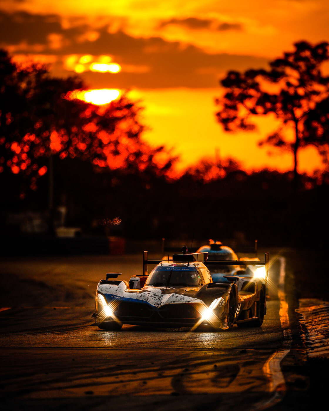 IMG_7360.jpeg