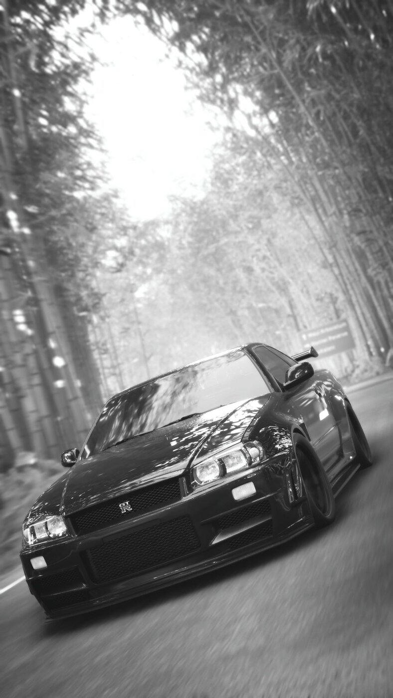 IMG_7732.jpeg