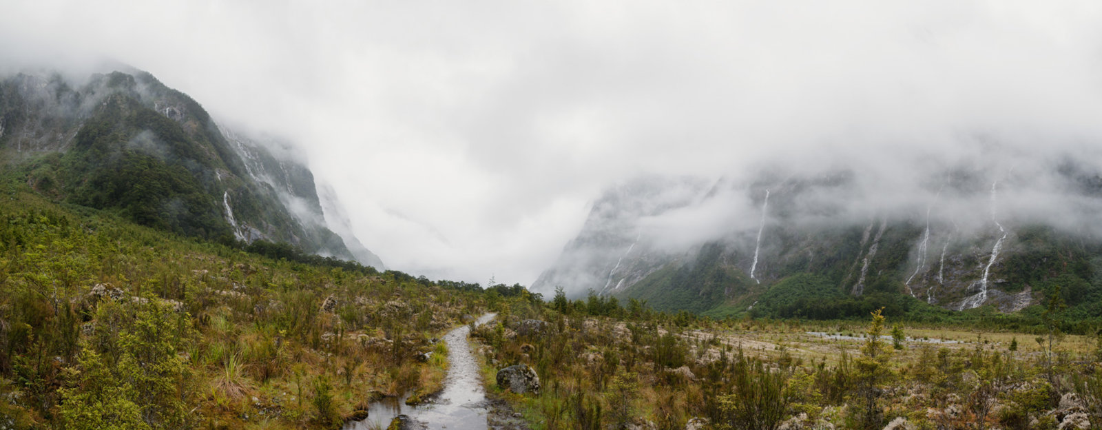 IMG_7991_7542-Pano-Edit.jpg