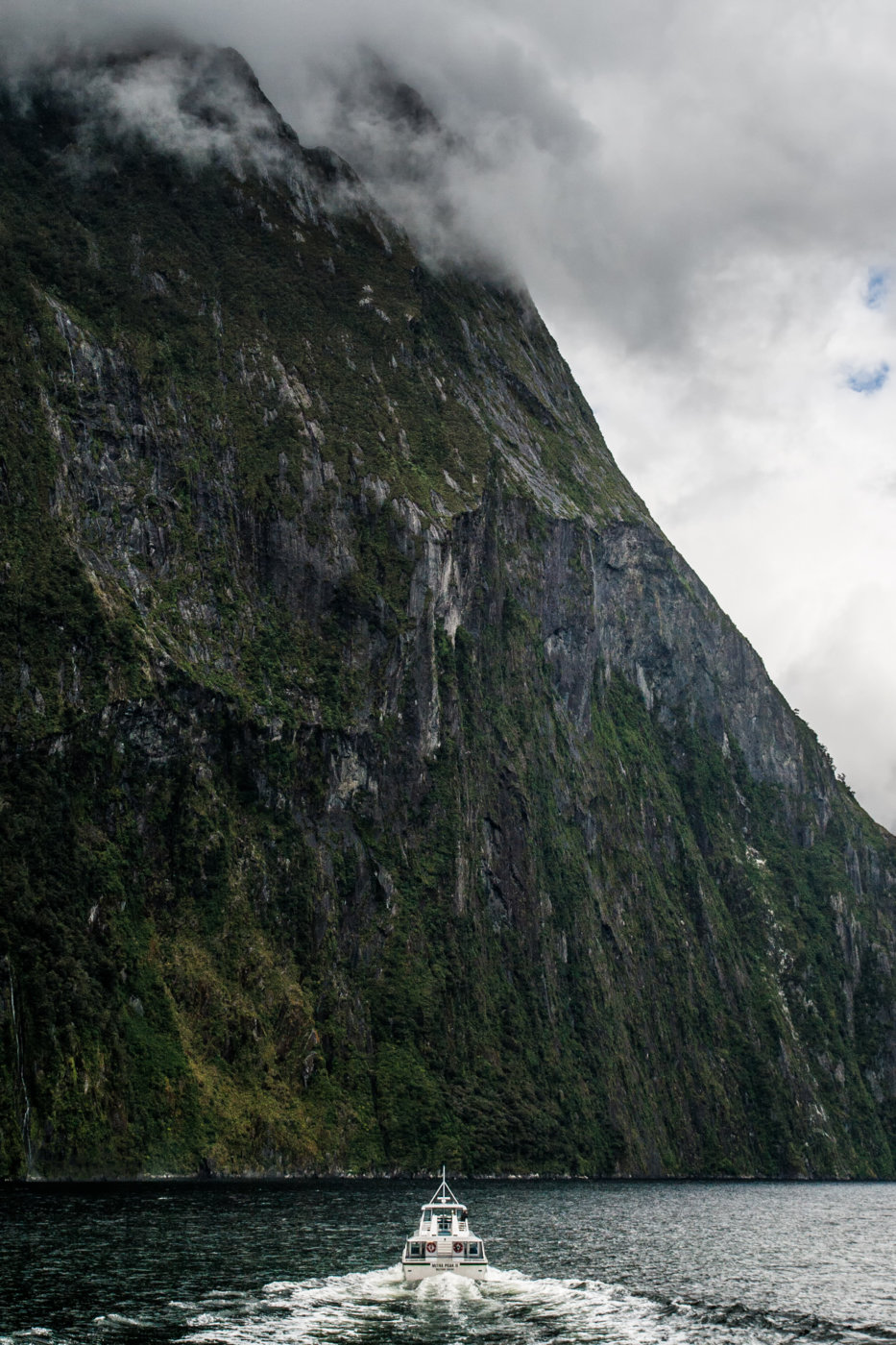 IMG_8136_7447-Edit.jpg