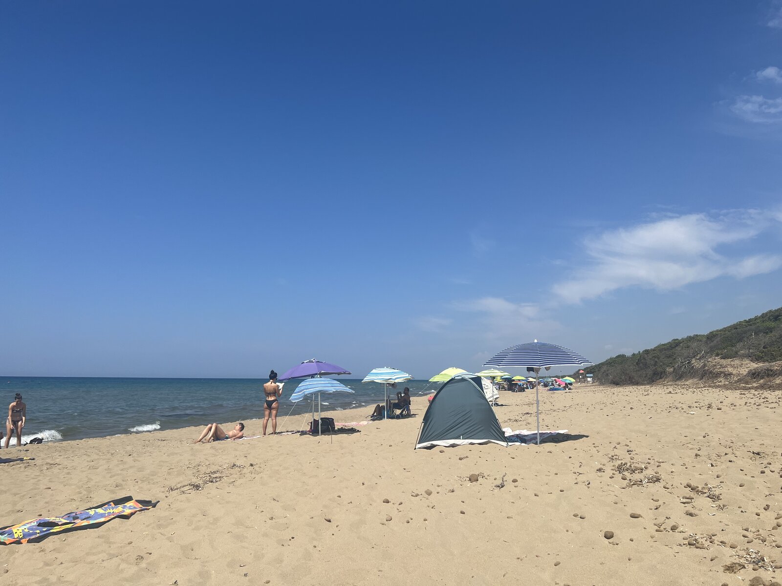 IMG_8145.jpeg