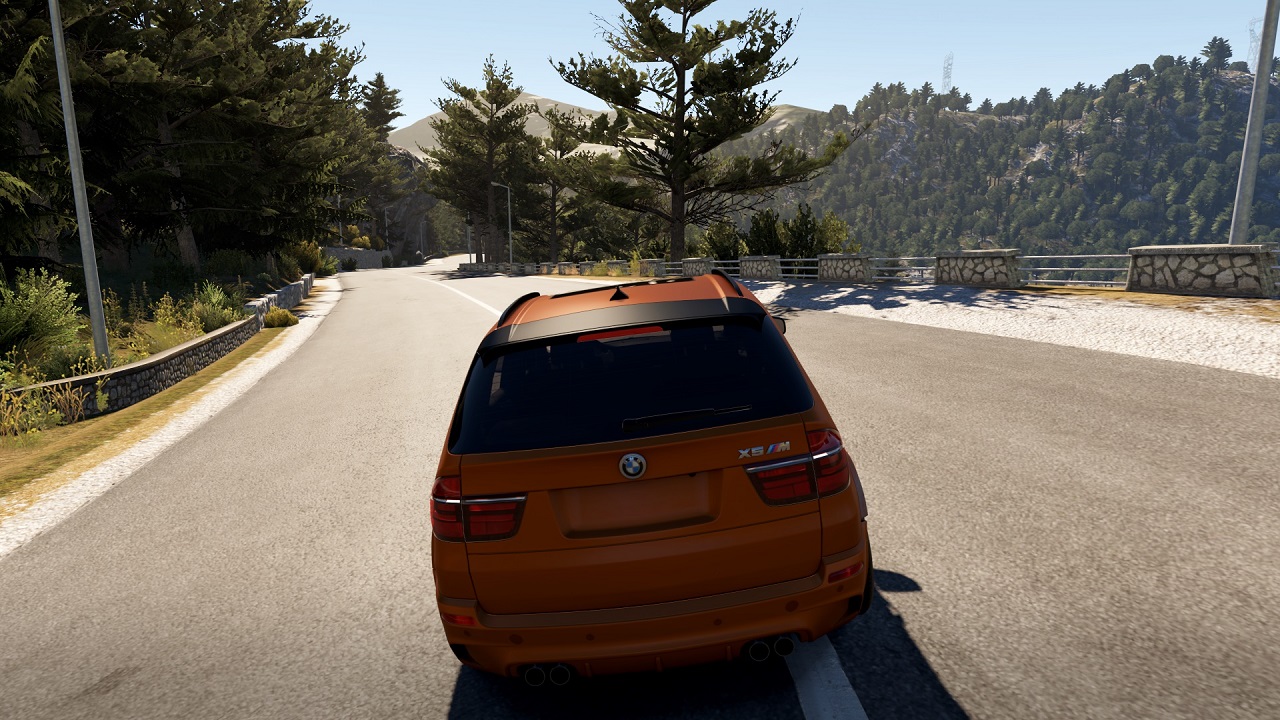 ingame.jpg