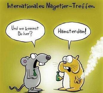internationales-nagetier-treffen.jpg