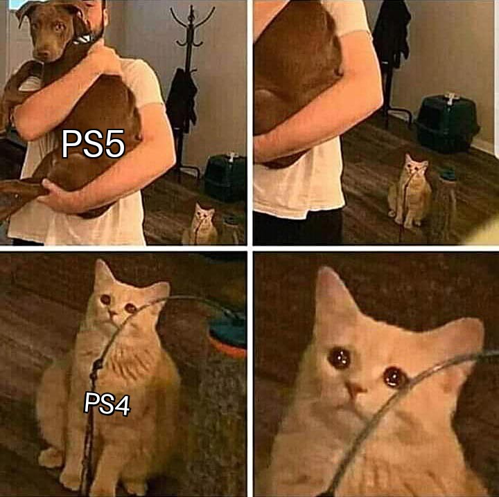 It Hurts In My Meow Meow 17112020182219.jpg