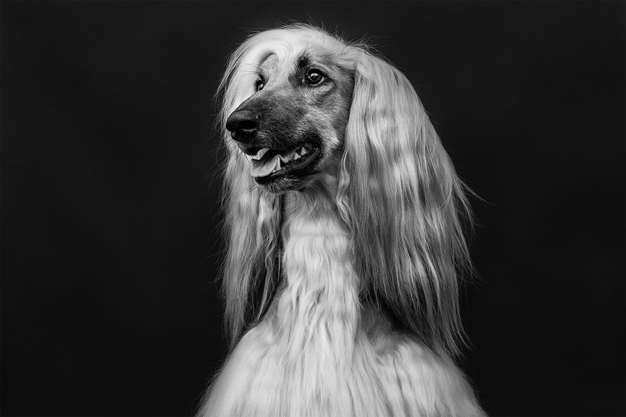 jimmy_portrait.jpg