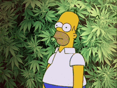 Jnx5ztK49mHJe.gif