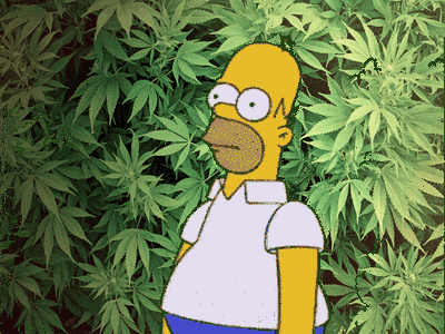 Jnx5ztK49mHJe.gif