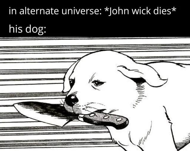 john wick dog.jpg