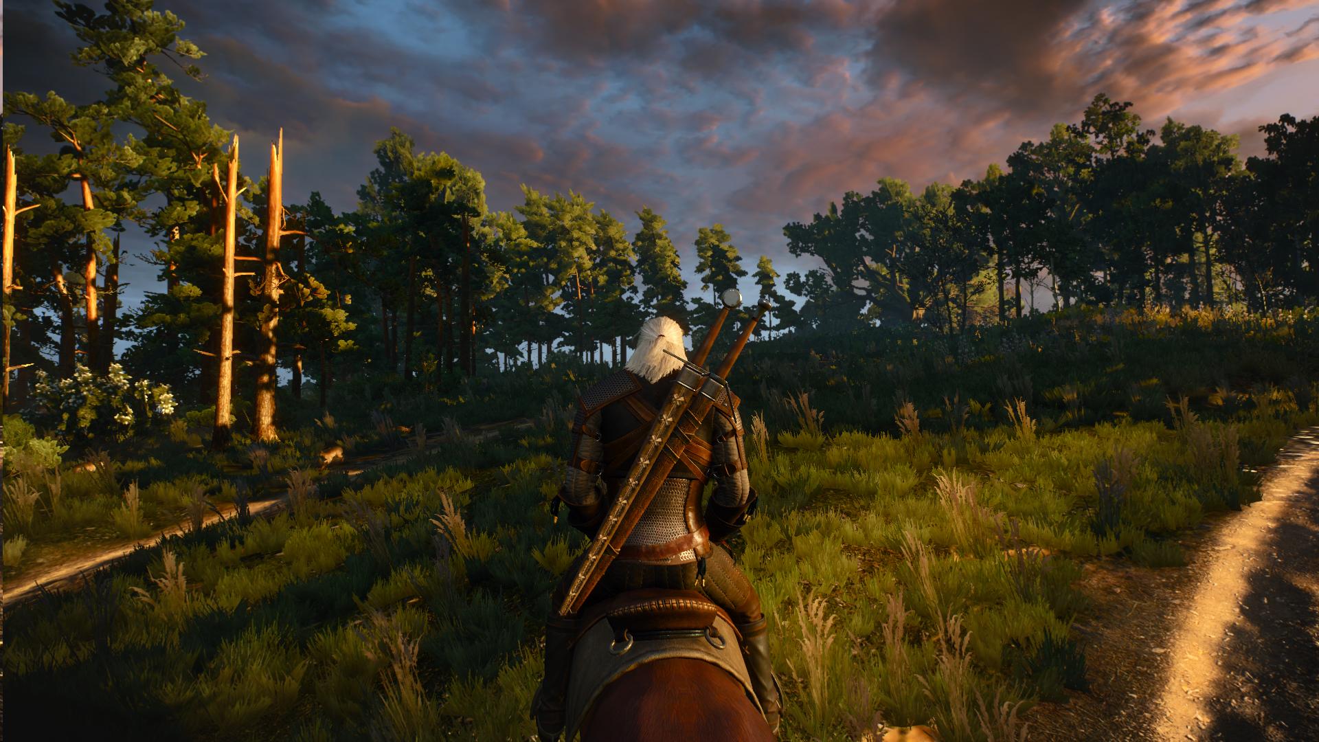 K1600_witcher3 2015-05-19 18-52-07-64.JPG