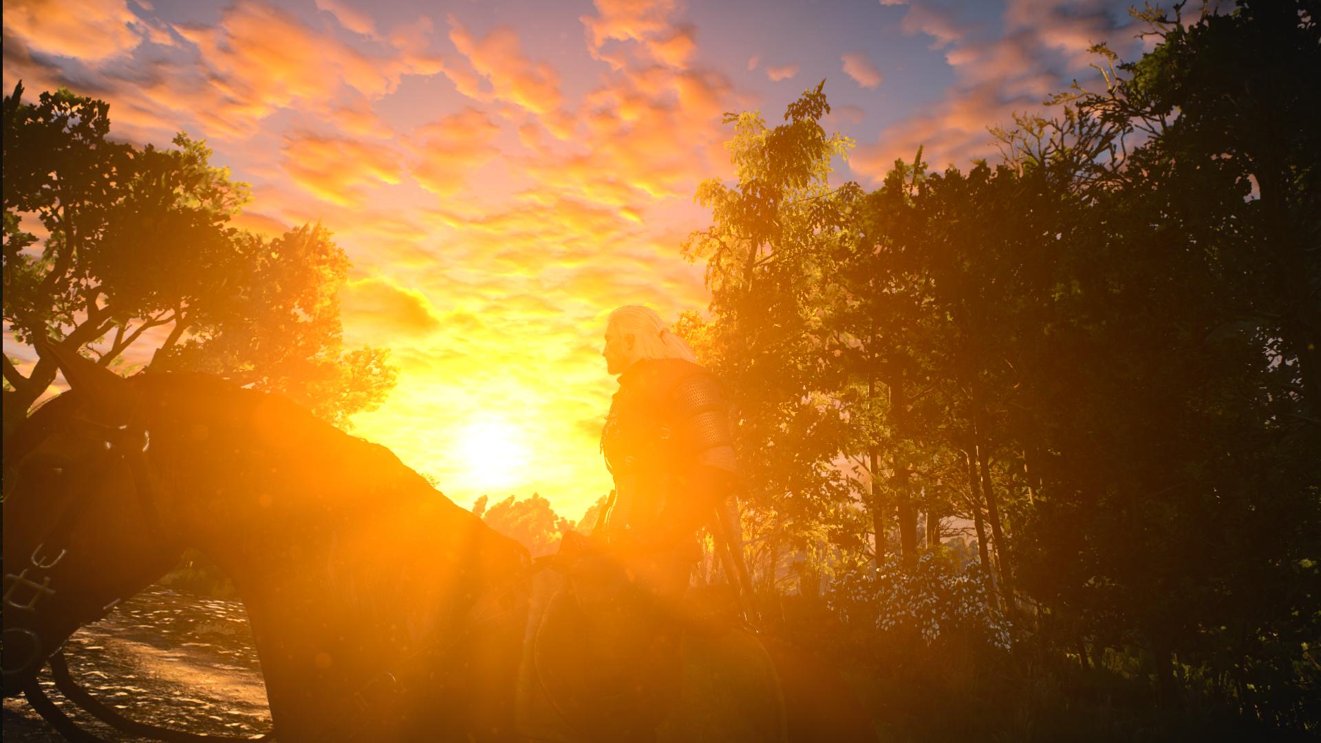 K1600_witcher3 2015-05-19 18-52-55-17.JPG