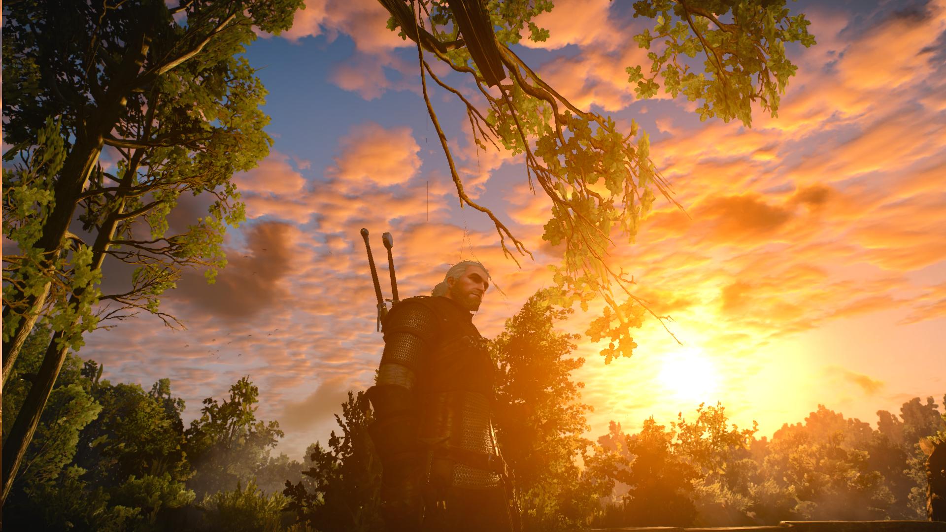 K1600_witcher3 2015-05-19 18-54-21-81.JPG