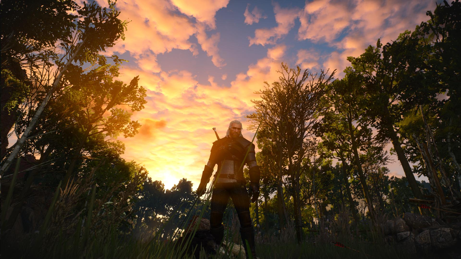 K1600_witcher3 2015-05-19 18-55-34-78.JPG