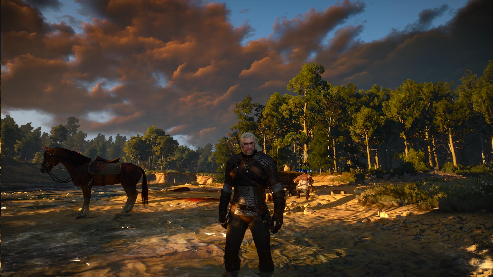 K1600_witcher3 2015-05-19 18-58-19-09.JPG