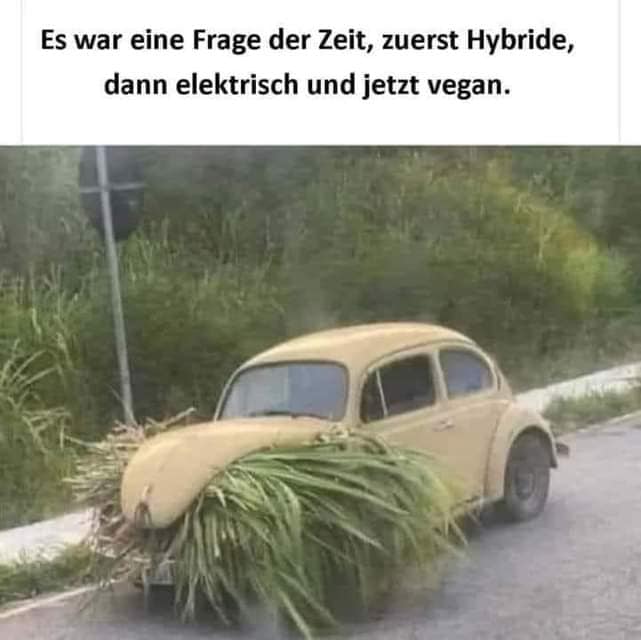 käfer - vegan.jpg