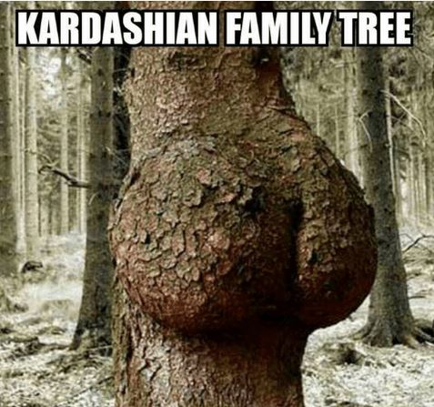 kardtree.JPG
