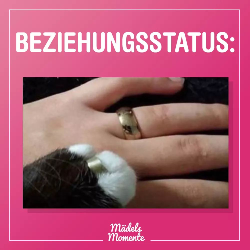 Kater.jpg