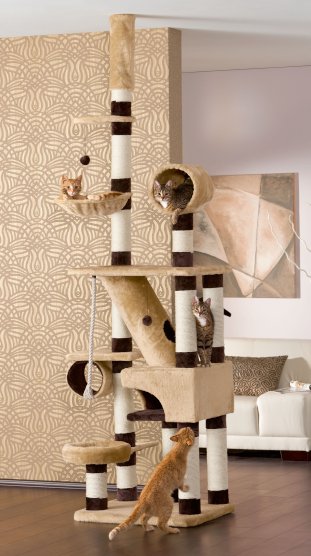 katze-kratzbaum-belorado-trixie-xl.jpg