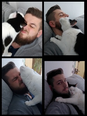katzi2.jpg