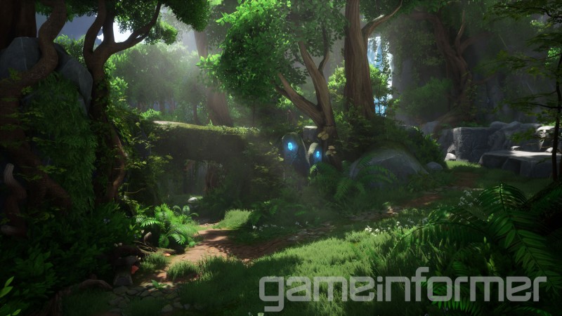 kena_forest_w0.jpg