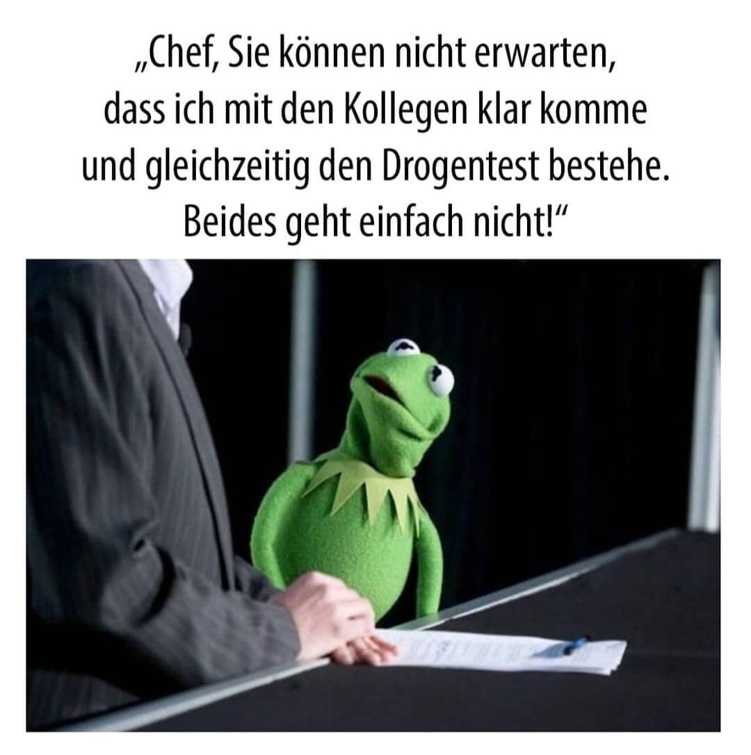 kermit - kollegen drogentest.jpg