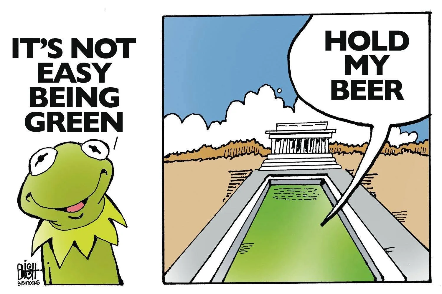 kermit - pool green.webp