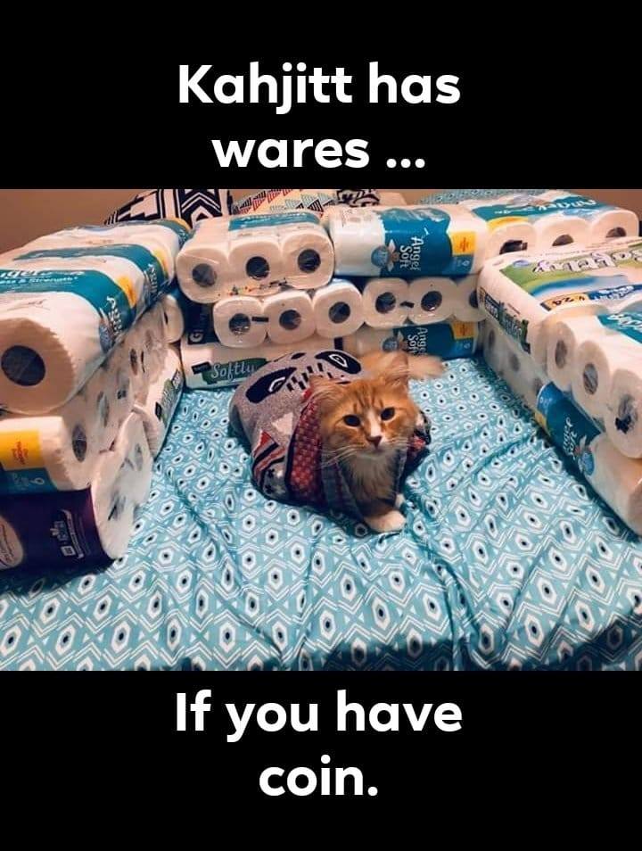 khajit toilet paper.jpg