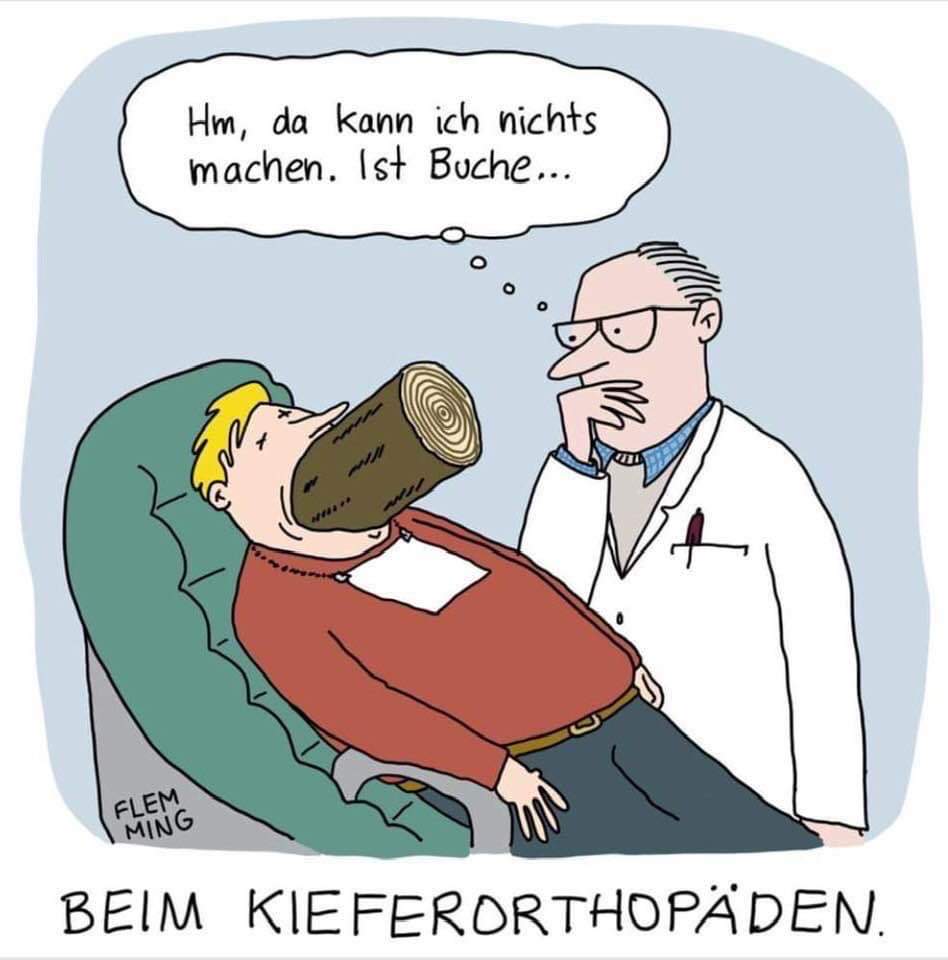 Kiefer.jpg