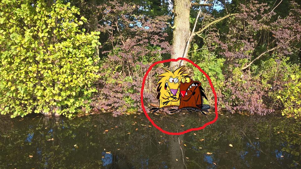 KT suchspiel gefunden.jpg