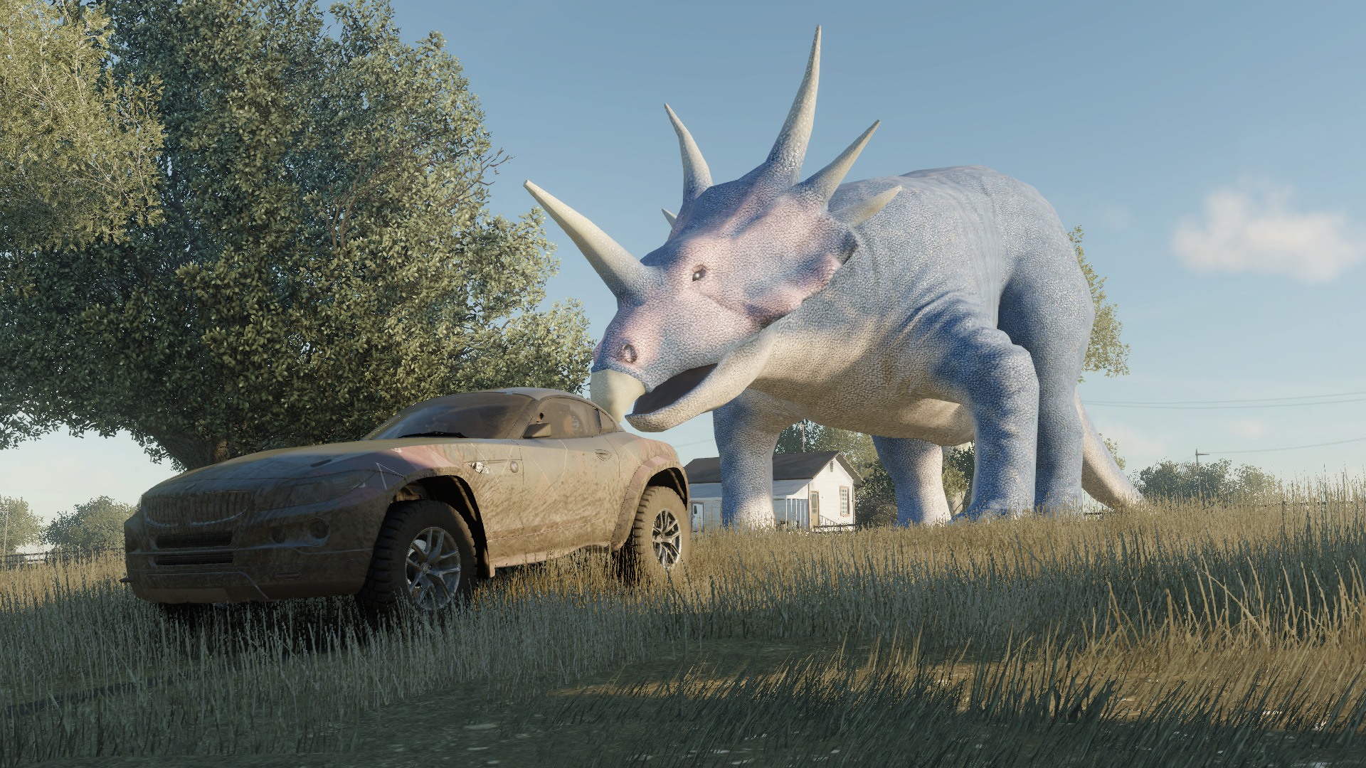 KT1.jpg