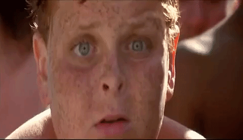l0EtNRPt6ht795TAA.gif