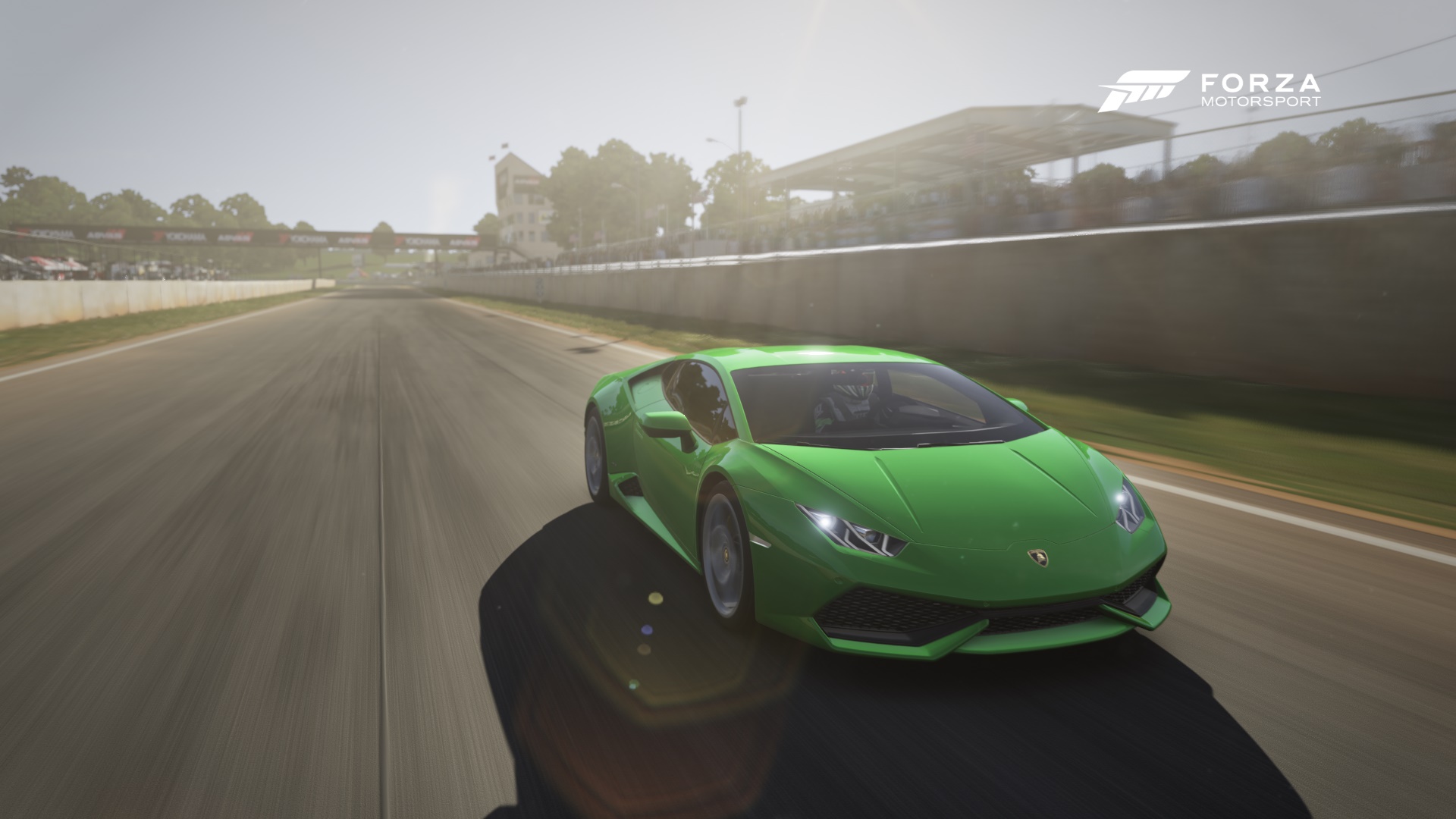 Lambo.jpg