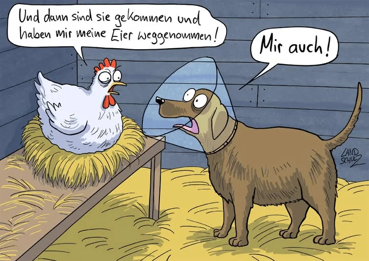 landschulz - eier.webp