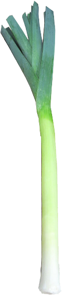 lauch.png