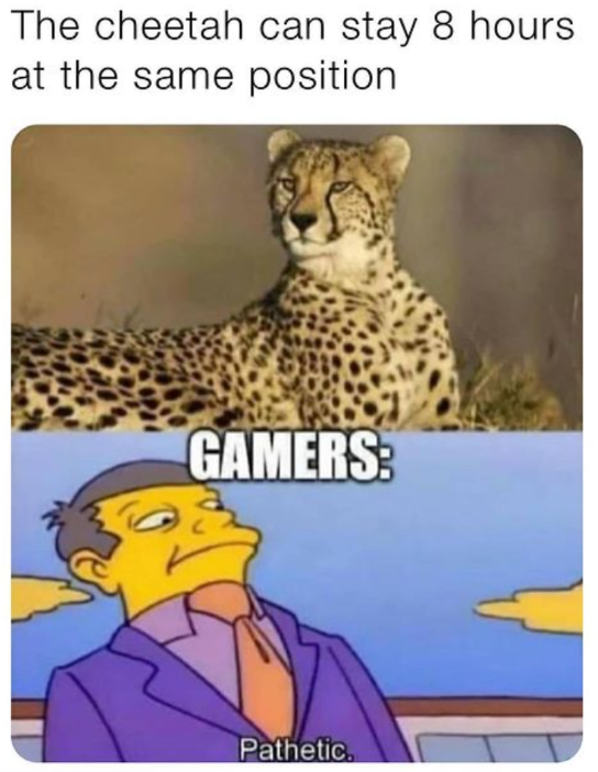 Leopard Gamers.png