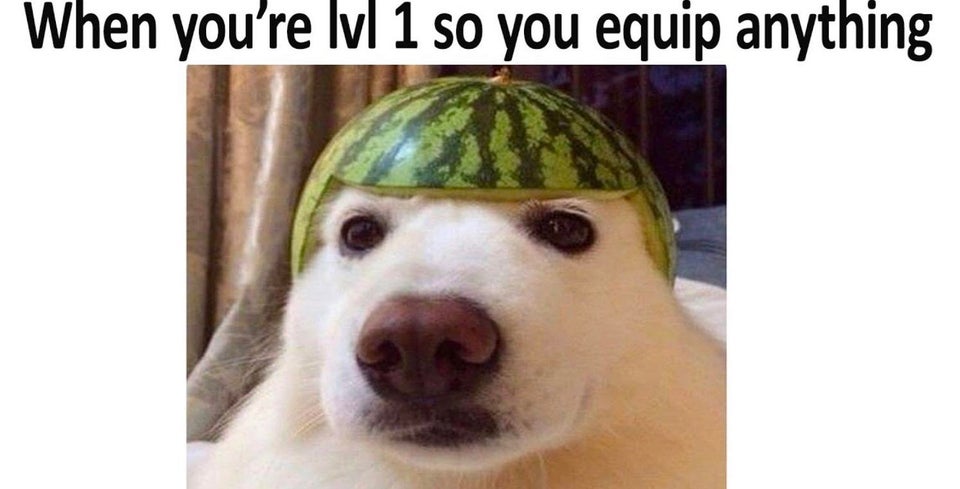Level 1 Armor.jpg