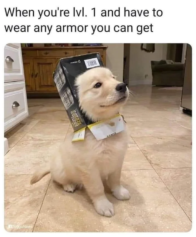level 1 armor.png