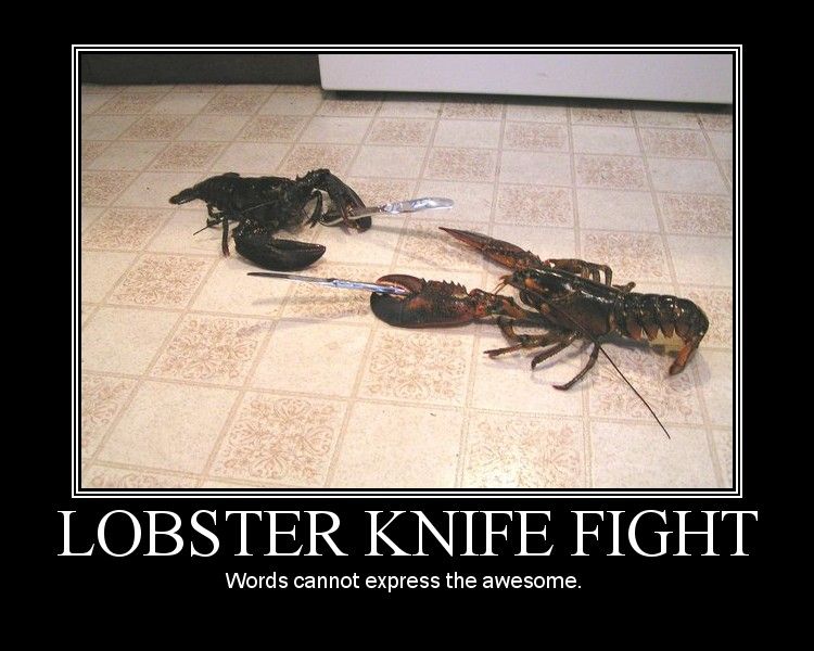 lobster_knife_fight.jpeg
