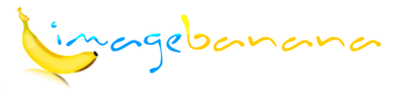 logo.png