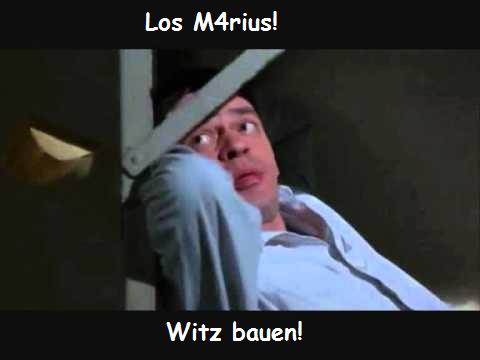 los marius witz bauen.jpg