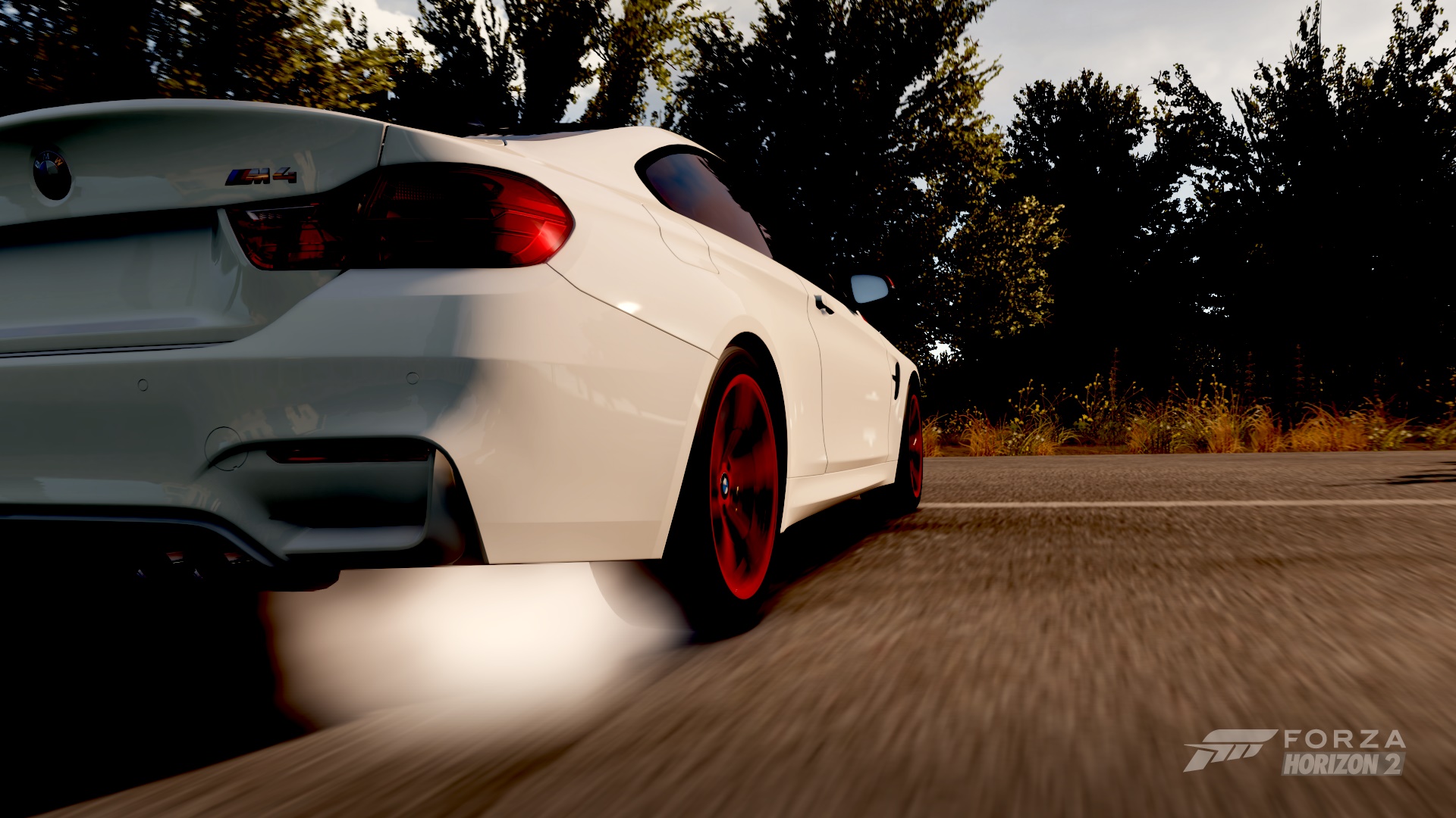 m4.jpg