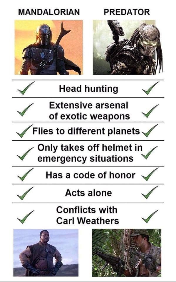 mandolarian predator.jpg