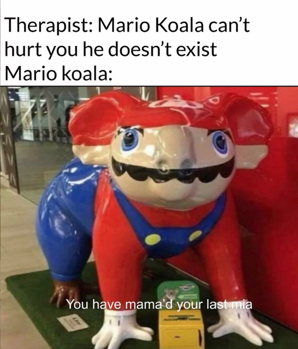 mario koala.png